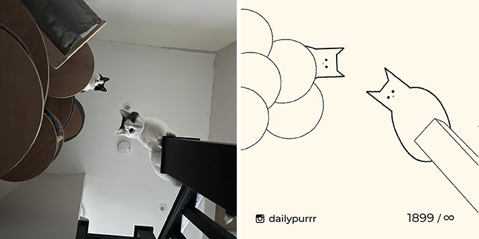 This Instagram Account Draws Really Accurate Cat Drawings