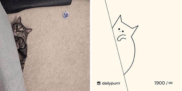 This Instagram Account Draws Really Accurate Cat Drawings