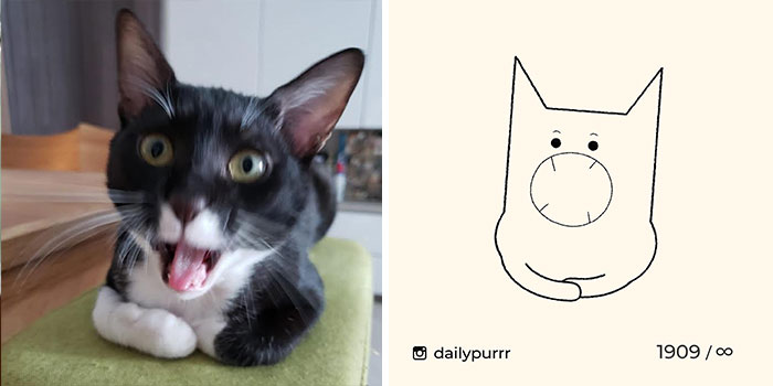 This Instagram Account Draws Really Accurate Cat Drawings