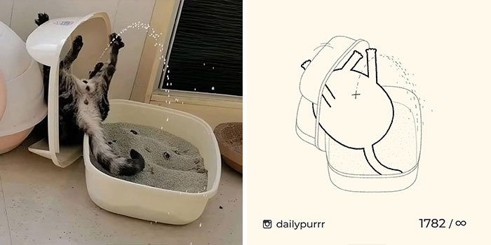 This Instagram Account Draws Really Accurate Cat Drawings