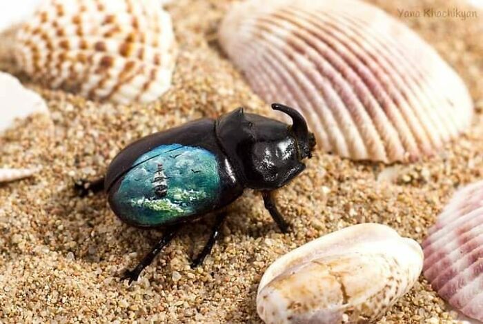 Tiny Pandas Swimming In Chocolate Rivers - It's Not Weird At All!