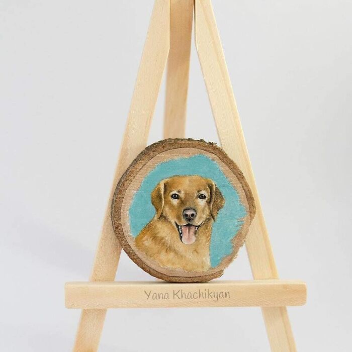 Tiny Pandas Swimming In Chocolate Rivers - It's Not Weird At All!