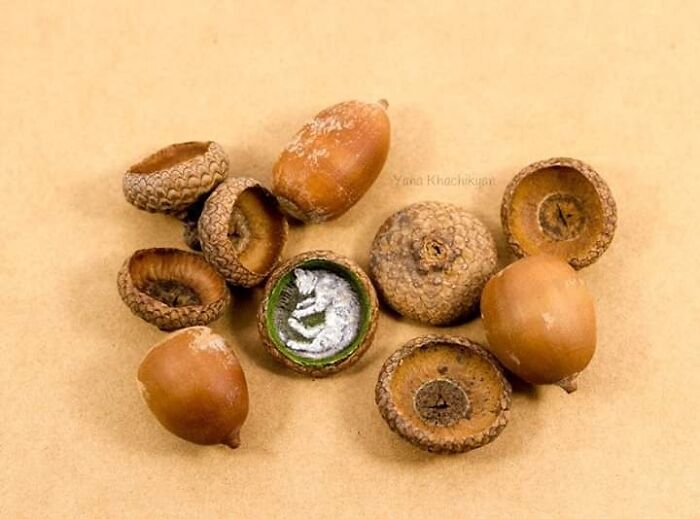 Tiny Pandas Swimming In Chocolate Rivers - It's Not Weird At All!