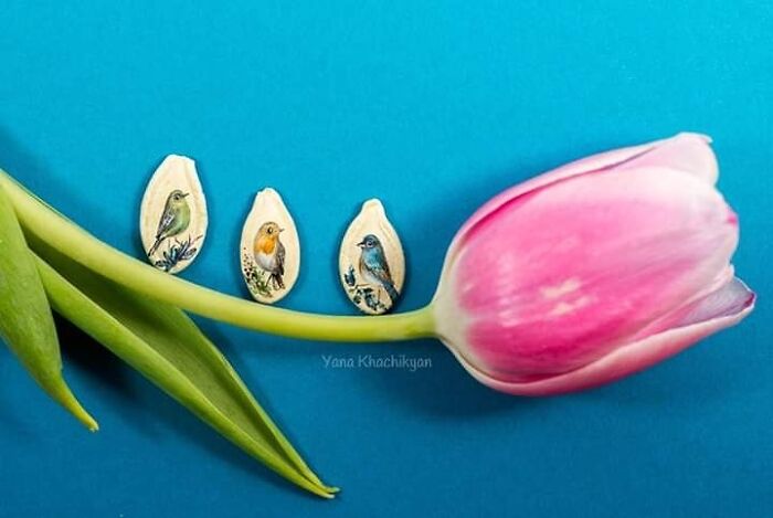 Tiny Pandas Swimming In Chocolate Rivers - It's Not Weird At All!