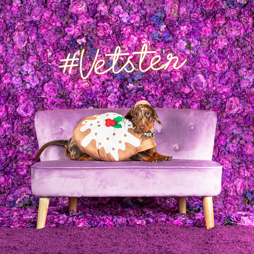 Donut Go Past This Angel. Isn't He Scrumptious?