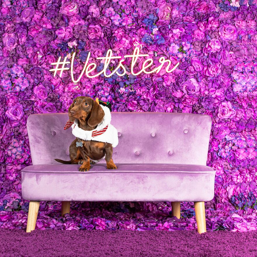 Can You Adjust My Costume Plz Mom?