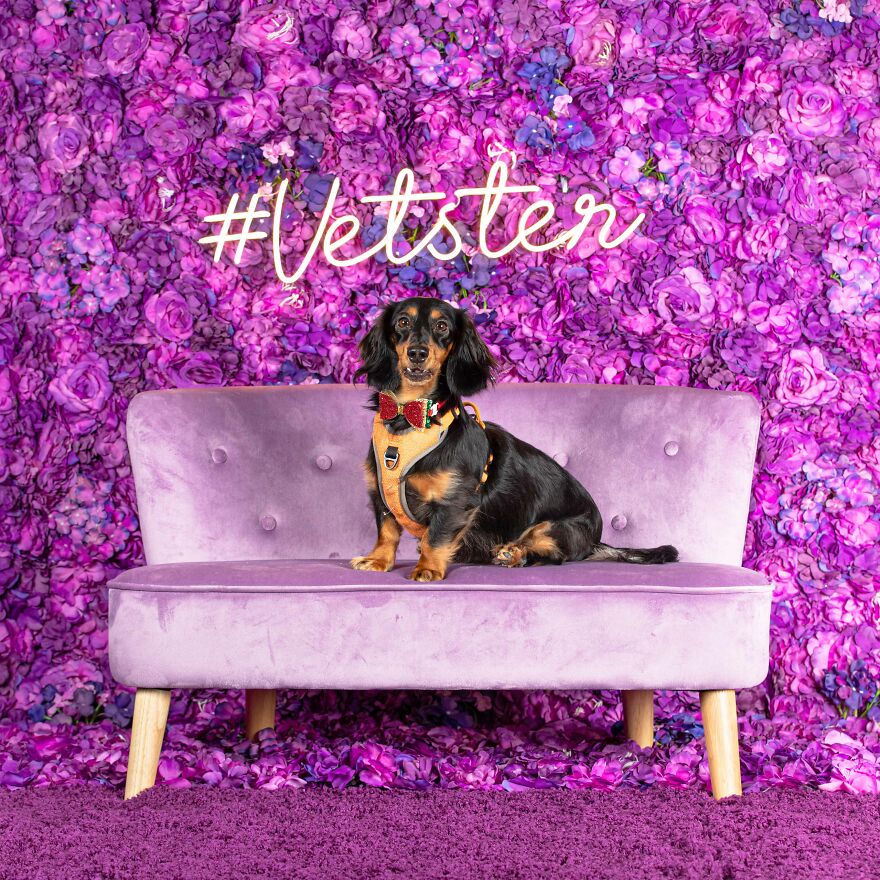 Life Is Short, But So Are My Legs!