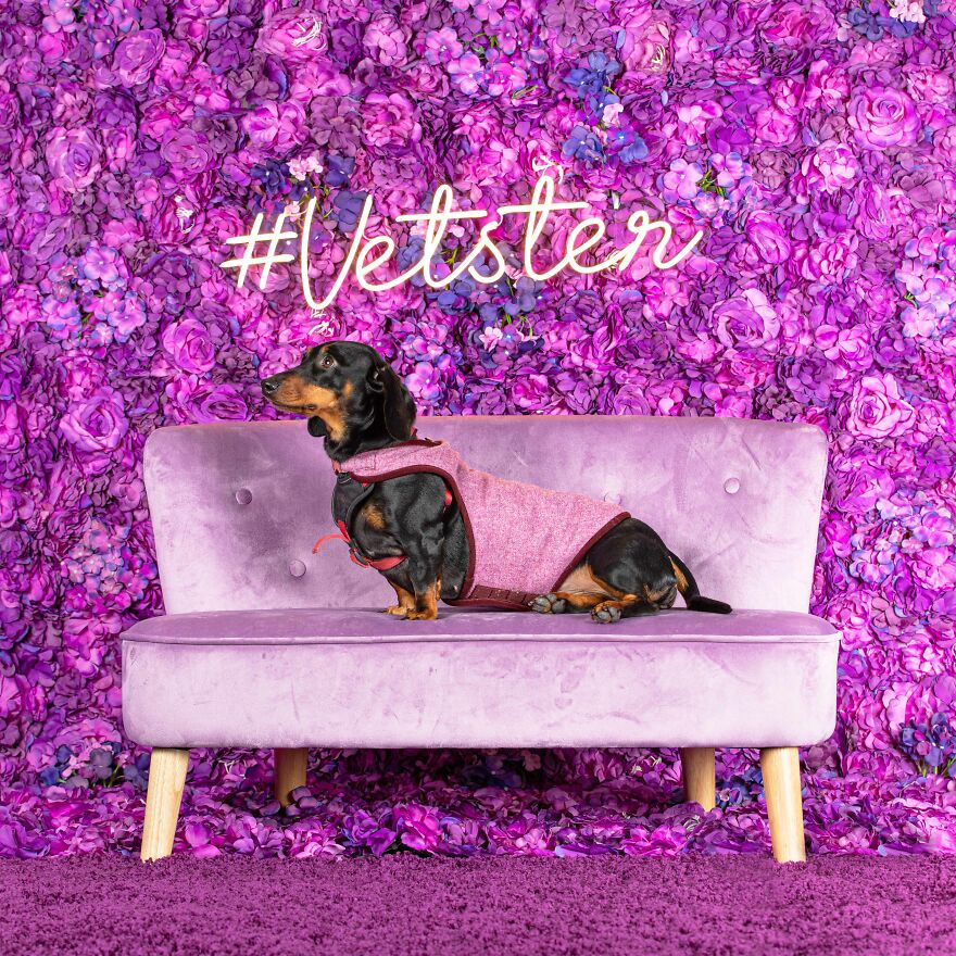 Streamlined Not Stretched