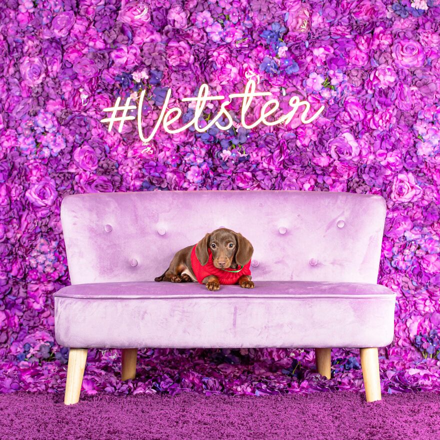 Itzy Bitzy Teenie Weenie