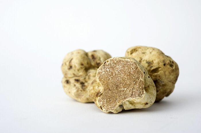 White Truffles ($2,100 – $2,500 Per Kilogram)