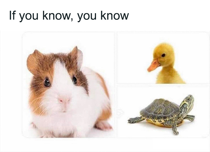 90s-Babies-Only-Memes