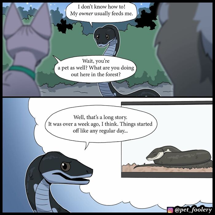 8 New Hilariously Adorable Comics About Brutus To Brighten Up Your Day