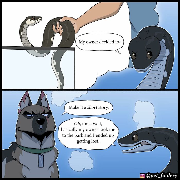 8 New Hilariously Adorable Comics About Brutus To Brighten Up Your Day