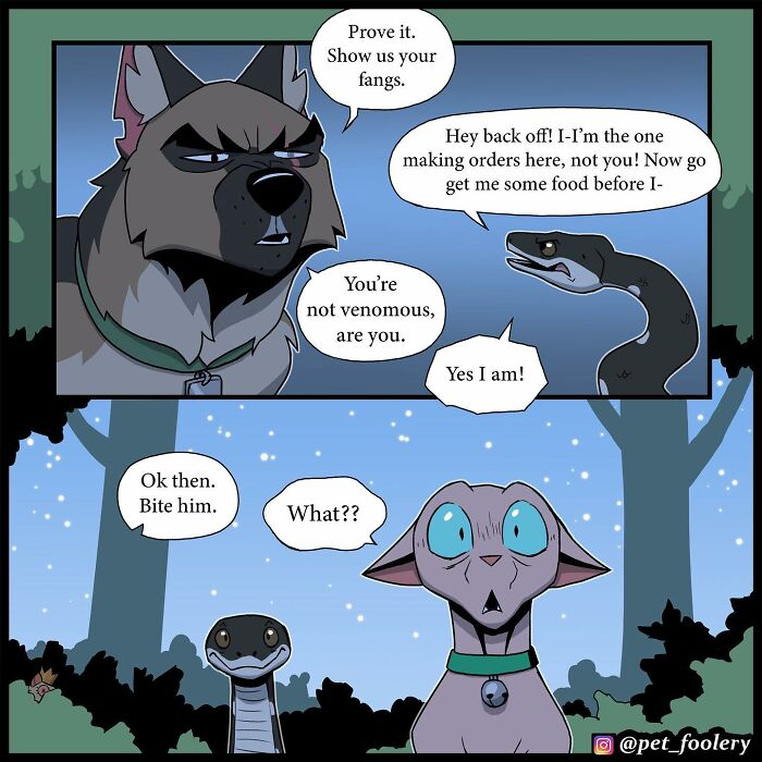 8 New Hilariously Adorable Comics About Brutus To Brighten Up Your Day