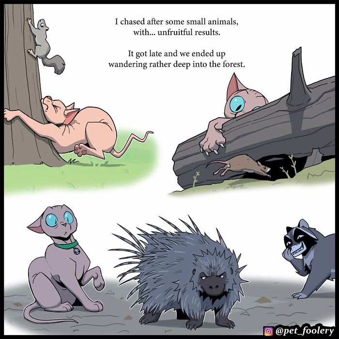 8 New Hilariously Adorable Comics About Brutus To Brighten Up Your Day