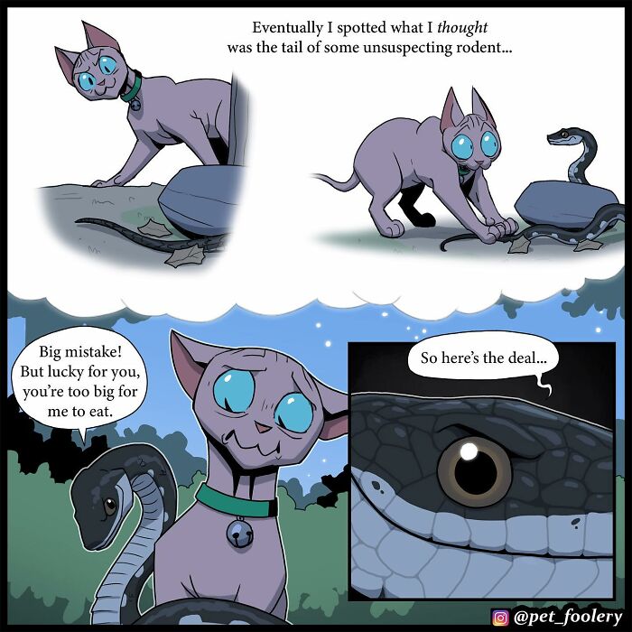 8 New Hilariously Adorable Comics About Brutus To Brighten Up Your Day