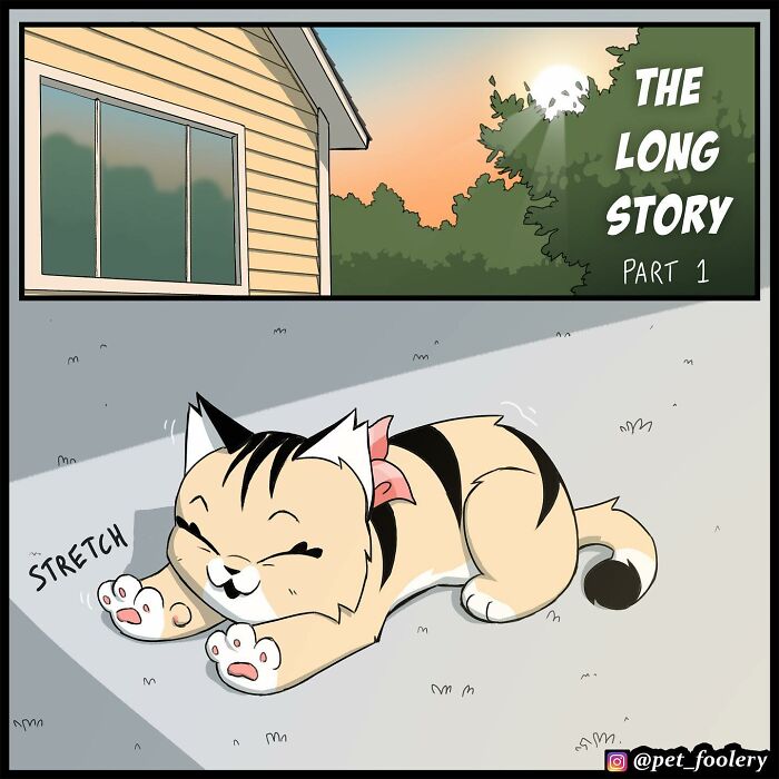 8 New Hilariously Adorable Comics About Brutus To Brighten Up Your Day