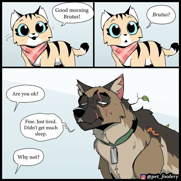 8 New Hilariously Adorable Comics About Brutus To Brighten Up Your Day
