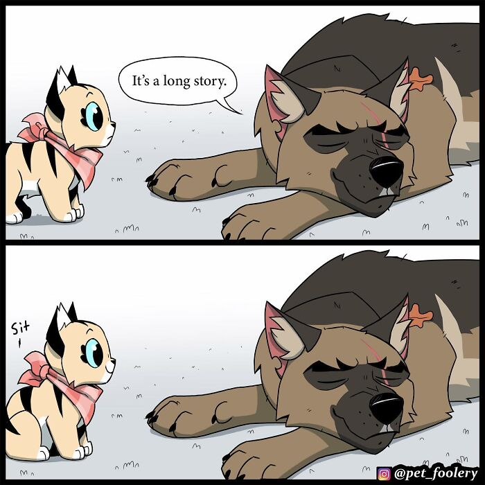 8 New Hilariously Adorable Comics About Brutus To Brighten Up Your Day