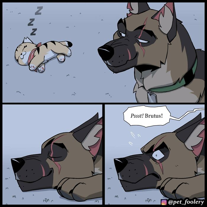 8 New Hilariously Adorable Comics About Brutus To Brighten Up Your Day