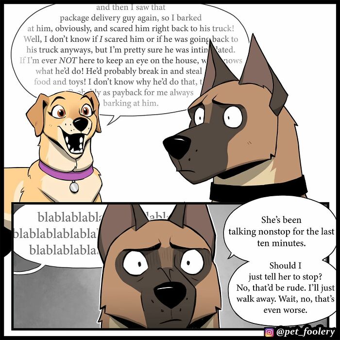 8 New Hilariously Adorable Comics About Brutus To Brighten Up Your Day