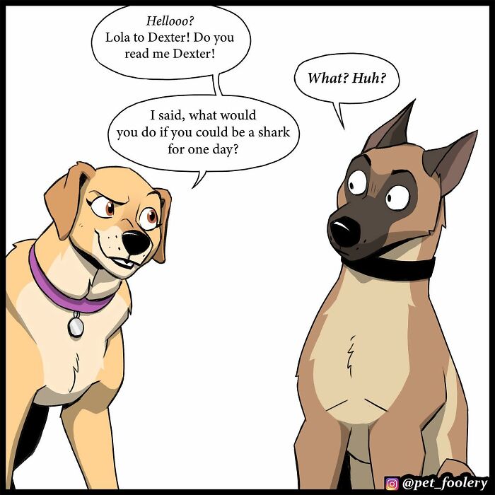 8 New Hilariously Adorable Comics About Brutus To Brighten Up Your Day