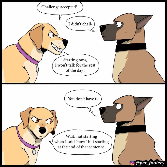 8 New Hilariously Adorable Comics About Brutus To Brighten Up Your Day