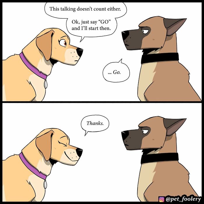 8 New Hilariously Adorable Comics About Brutus To Brighten Up Your Day