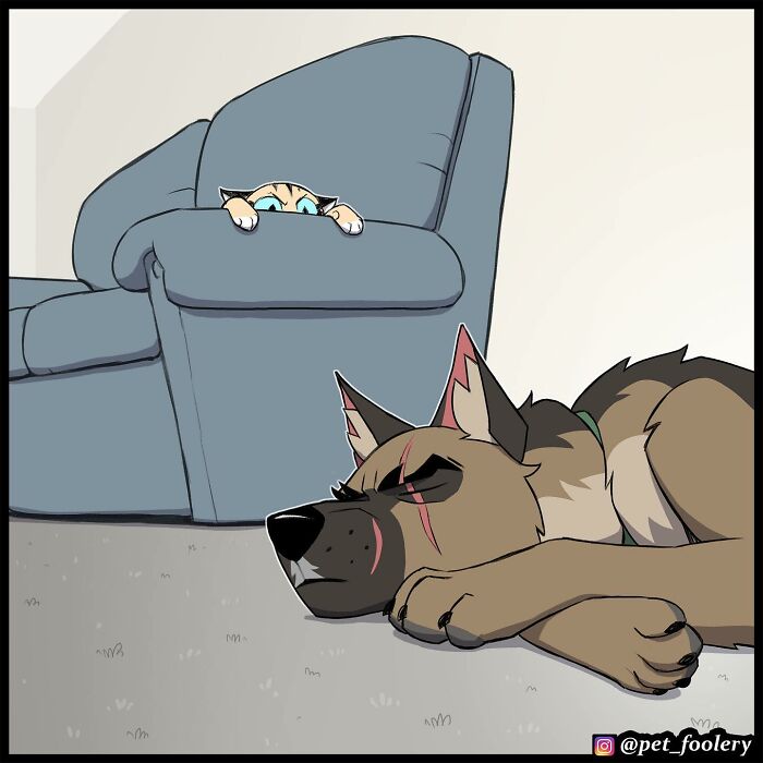 8 New Hilariously Adorable Comics About Brutus To Brighten Up Your Day