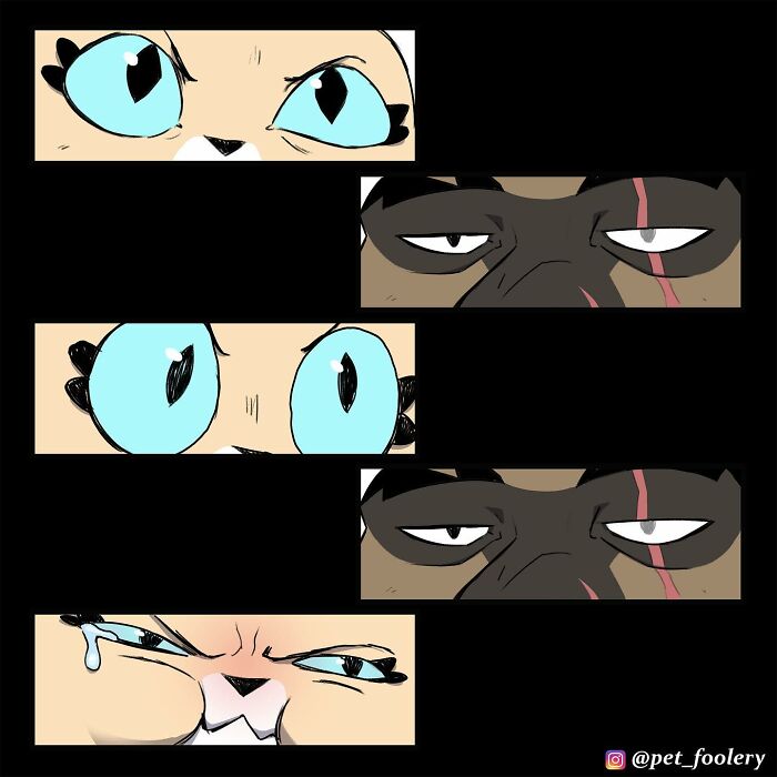 8 New Hilariously Adorable Comics About Brutus To Brighten Up Your Day