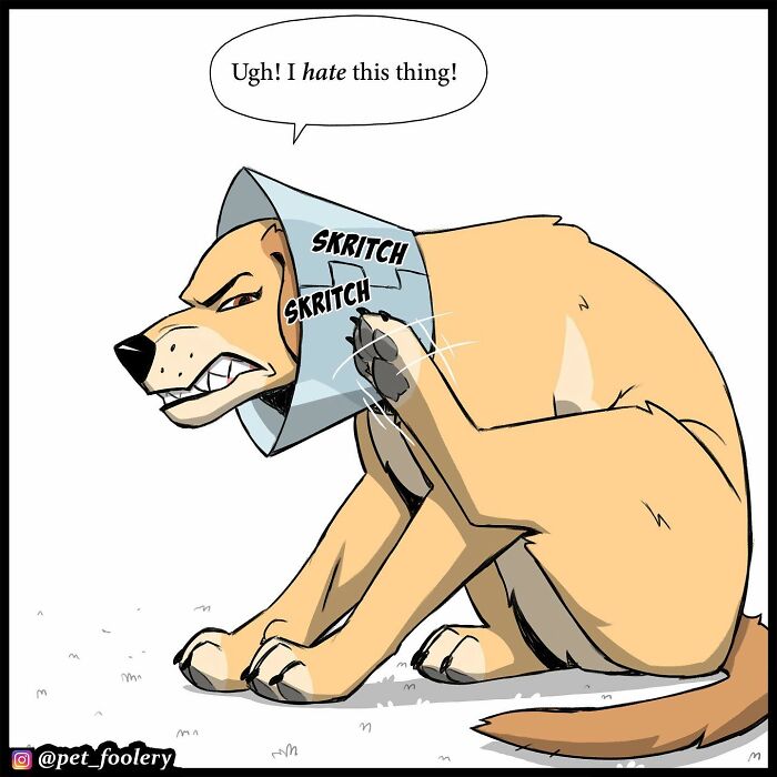 8 New Hilariously Adorable Comics About Brutus To Brighten Up Your Day