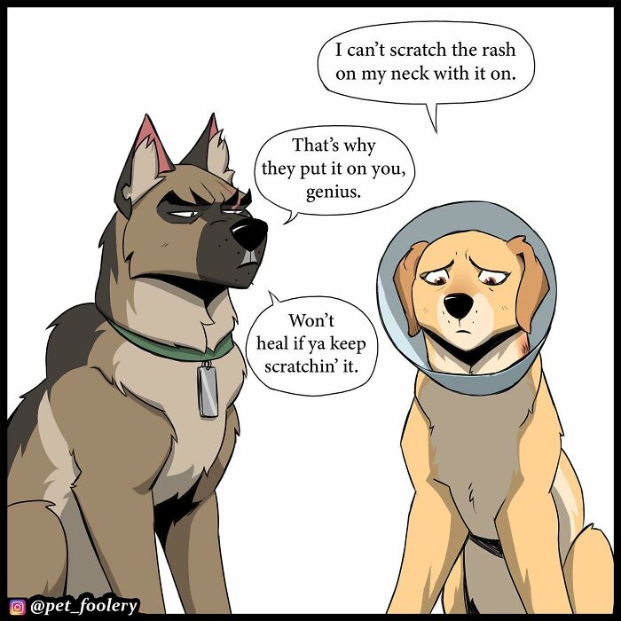 8 New Hilariously Adorable Comics About Brutus To Brighten Up Your Day