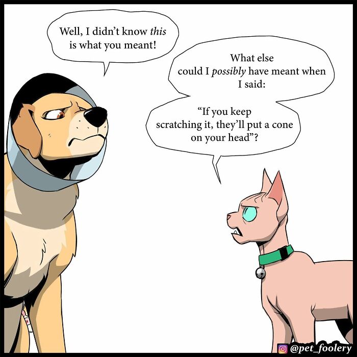 8 New Hilariously Adorable Comics About Brutus To Brighten Up Your Day