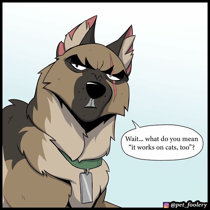 8 New Hilariously Adorable Comics About Brutus To Brighten Up Your Day