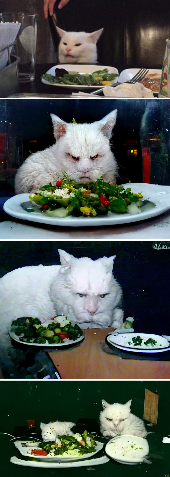 AI-generated cats looking grumpily at salad plates in a series of amusing and bizarre art fails.
