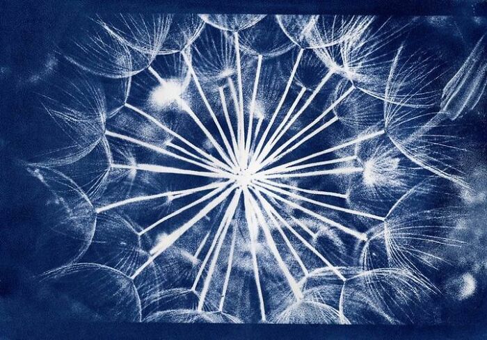 Cyanotype, Watercolour Paper Digital Negative From A 35mm Shot