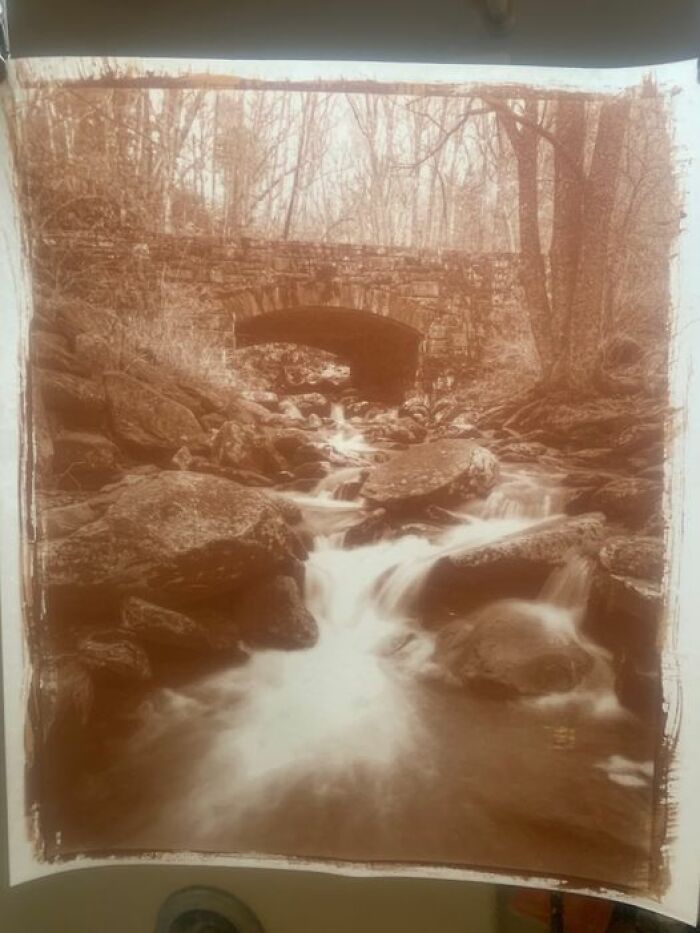 First Full Sized Salted Paper Print