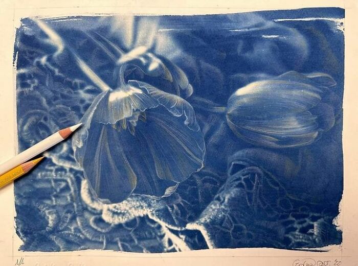 2022, Student Work Color Pencil On Cyanotype Print Taiwan Taipei