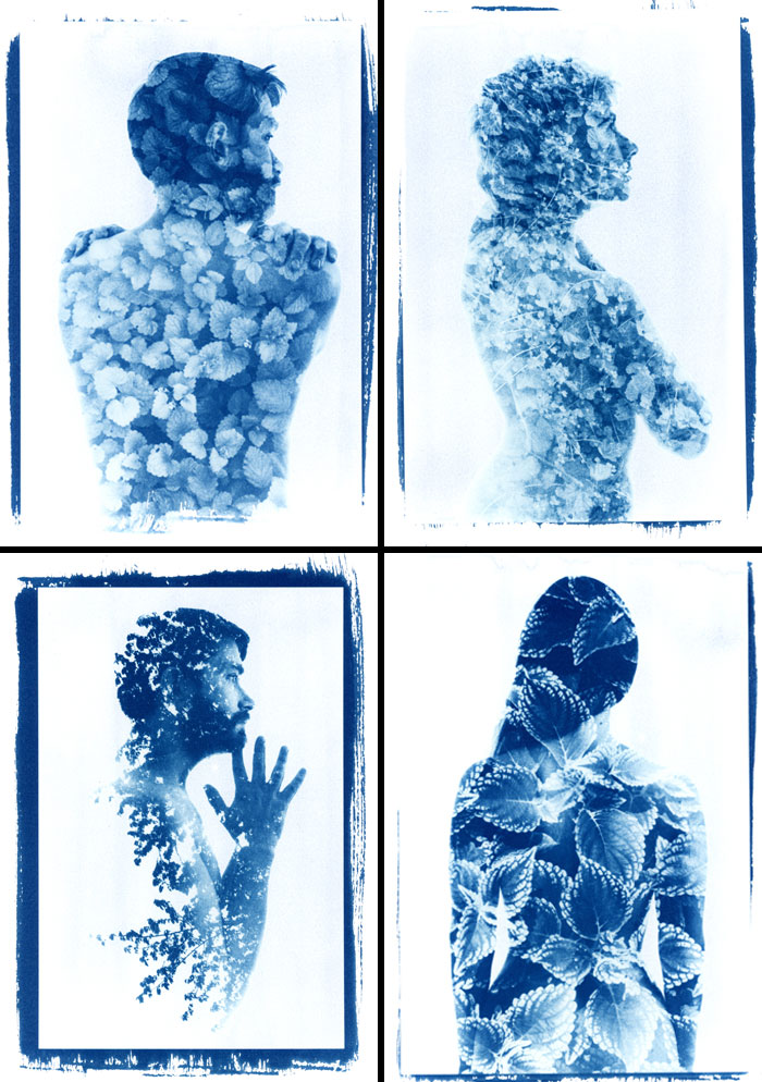 Cyanotype Prints