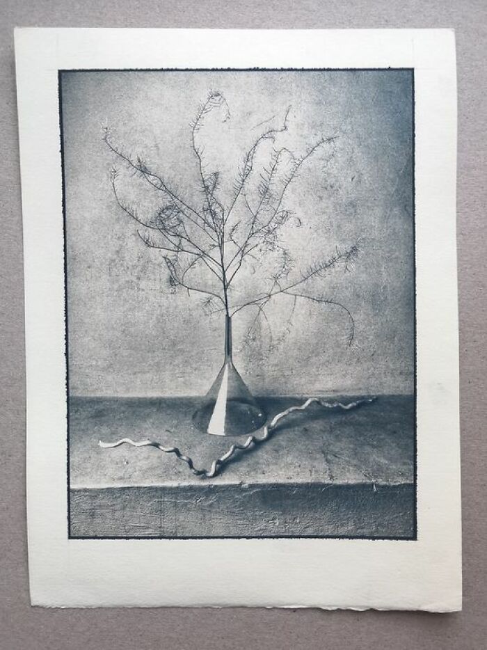 Toned Cyanotype