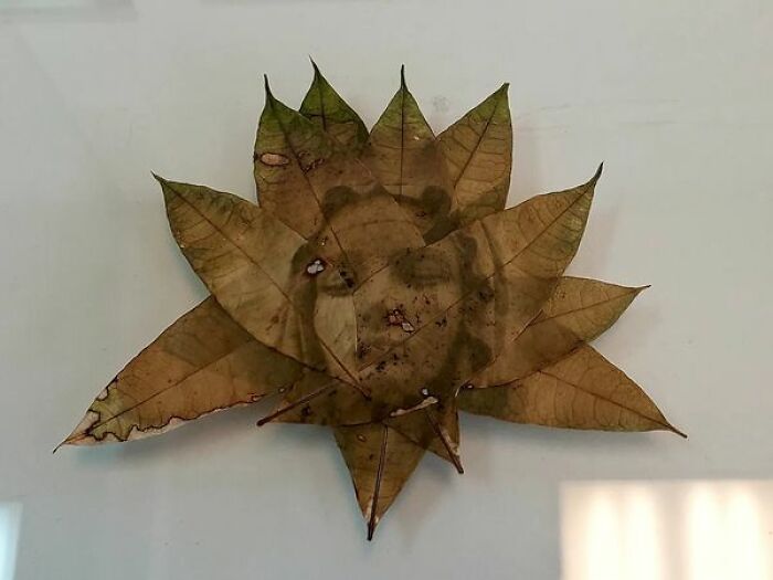 Mary With Radiant Leaf Halo 2022 Guyana Chestnut Leaves