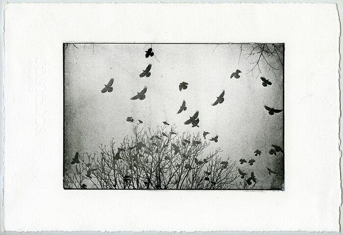 Collotype Print, 12x18 Cm