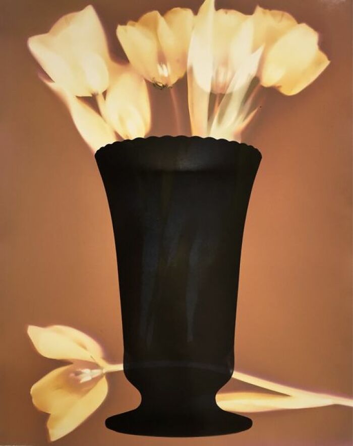 Adox Lupex Paper Is A Stunning And Unique Currently Available Silver Emulsion Paper