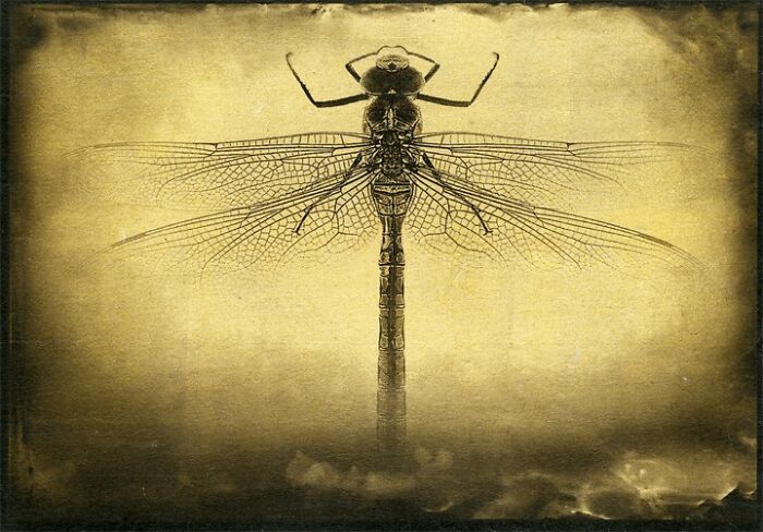 Palladium, Gold Leaf