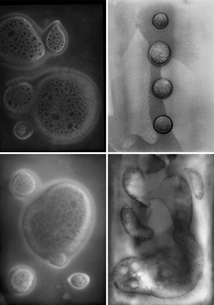 I Am New To Chimigrams And I Don’t Even Know If These Are Chimigrams But I Like How They Turned Out