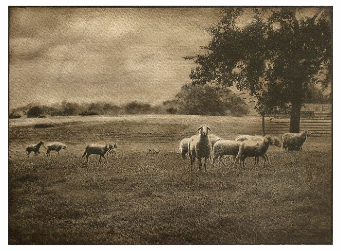 Mediobrome Print 18x24 Cm. Silver Gelatin On Watercolor Paper + Oil Paints