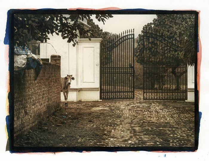 'welcome' Early Morning With Gray, Smoky Skies. Gum Over Cyanotype Over Ziatype