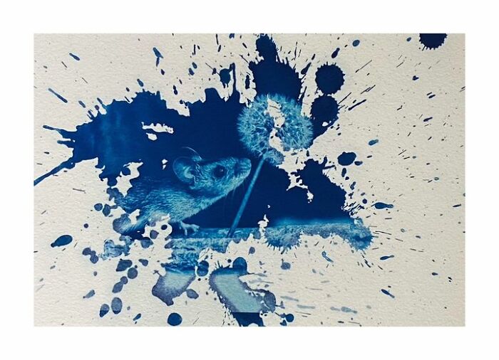 Experimenting With A Different Way Of Applying My Cyanotype Mix!