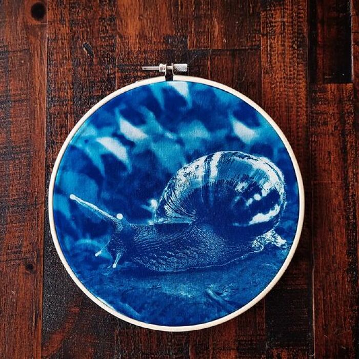 Cyanotype On 100% Cotton. This Is The Most Crisp Print I've Been Able To Get So Far🤩