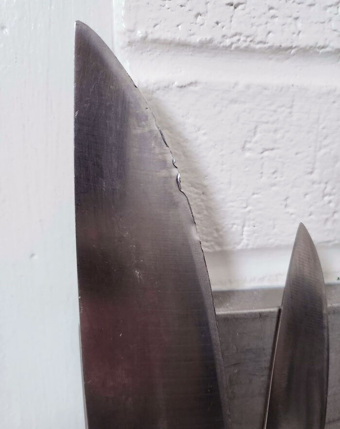 My Sister House-Sat For Me This Weekend. This Is How I Found My New Chef's Knife When I Got Back Home